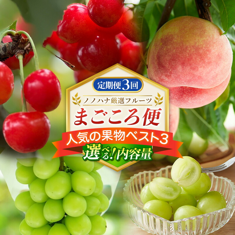 【ふるさと納税】【定期便3回】ノノハナ厳選フルーツ まごころ便 人気の果物ベスト3 選べる|山形県山形市