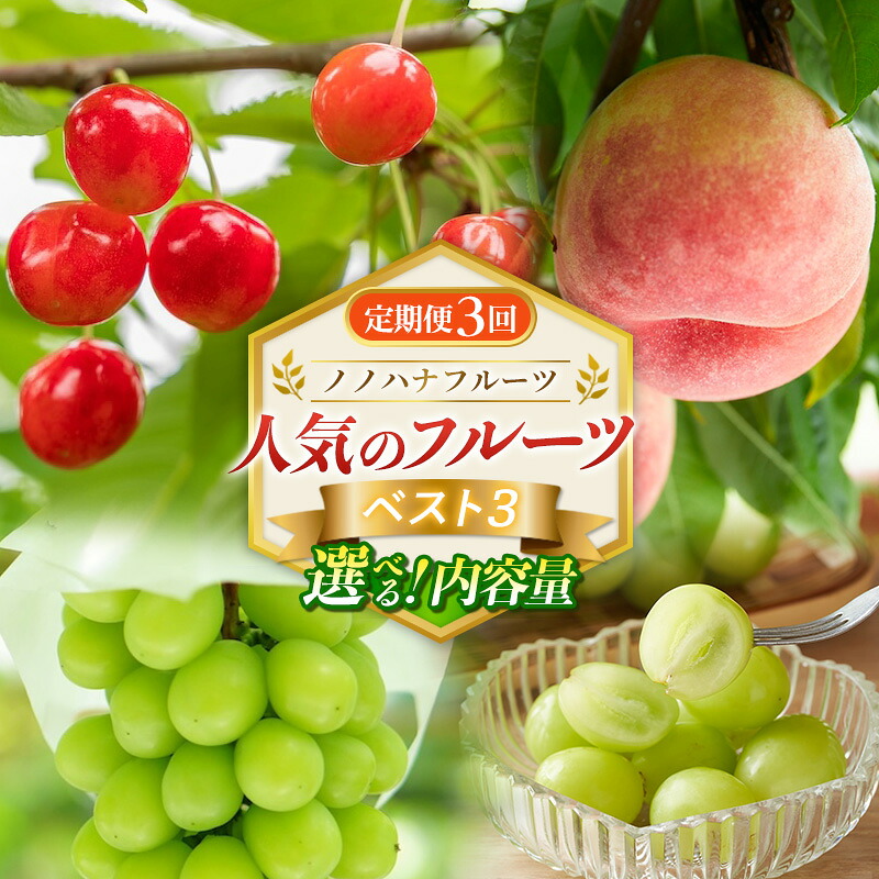 【ふるさと納税】【定期便3回】ノノハナフルーツ 人気のフルーツベスト3 選べる|山形県山形市