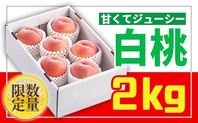【ふるさと納税】★フルーツ王国山形★白桃秀品2kg[かため系品種] FS24-682 山形県 もも モモ 果物 くだもの フルーツ