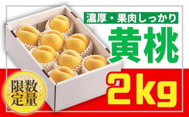 【ふるさと納税】★山形黄桃★黄桃秀品2kg[かための桃] FS24-680 山形県 もも モモ 果物 くだもの フルーツ