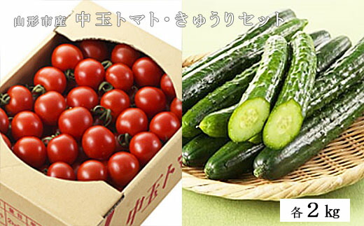 【ふるさと納税】山形市産 中玉トマト2kg・きゅうり2kgセット  FZ19-192