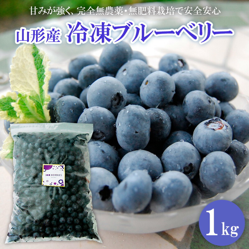 【ふるさと納税】山形市産 冷凍ブルーベリー 1kg  FZ18-202