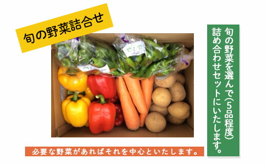 【ふるさと納税】旬の野菜詰合せ【障がい者支援】 fz19-523