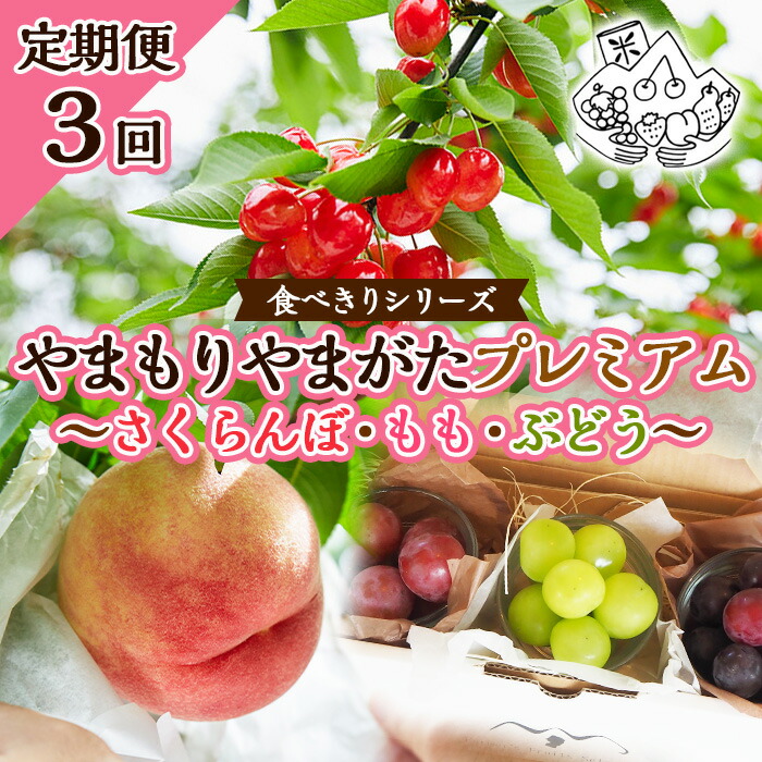 【ふるさと納税】【定期便3回】★食べきりシリーズ★やまもりやまがたプレミアム～さくらんぼ・もも・ぶどう～ 【令和7年産先行予約】FS23-703くだもの 果物 フルーツ 山形 山形県 山形市 お取り寄せ 2025年産