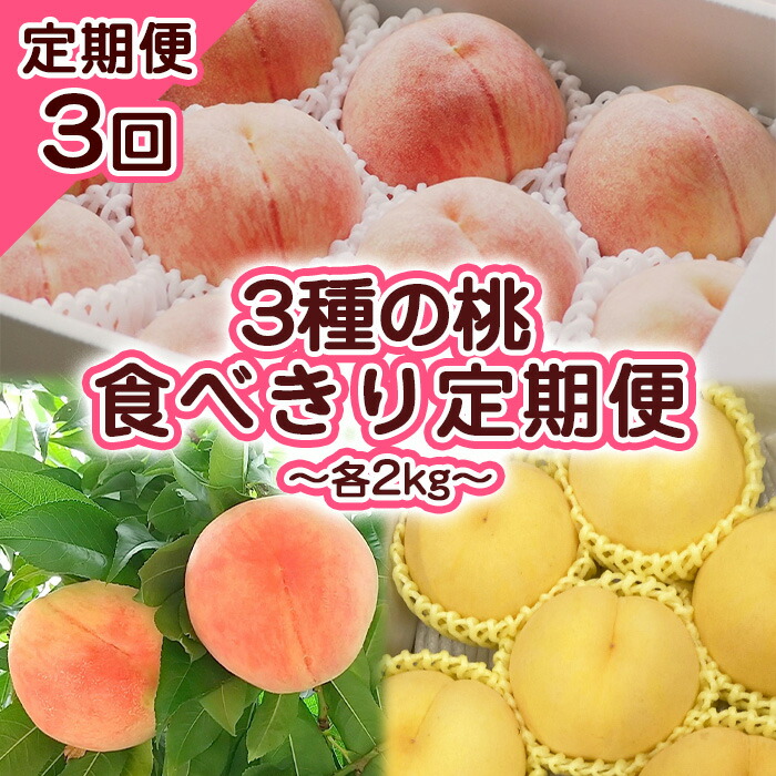 【ふるさと納税】【定期便3回】3種の桃　食べきり定期便～各2kg～ 【令和7年産先行予約】FS23-706くだもの 果物 フルーツ 山形 山形県 山形市 お取り寄せ 2025年産