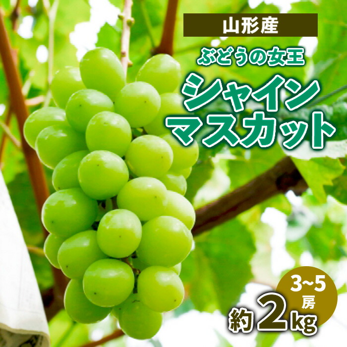 【ふるさと納税】山形産 ぶどうの女王 シャインマスカット 約2kg(3～5房)【令和8年産先行予約】FS23-715くだもの 果物 フルーツ 山形 山形県 山形市 お取り寄せ 先行予約 2026年産