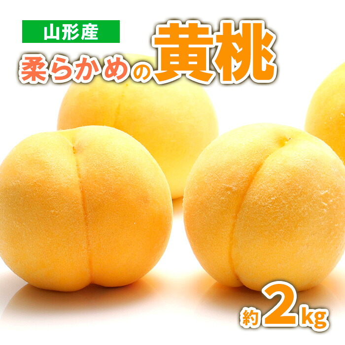 【ふるさと納税】山形産 柔らかめの黄桃 約2kg (4~9玉) 秀品 【令和8年産先行予約】 FS23-718 くだもの 果物 フルーツ 山形 山形県 山形市 お取り寄せ 2026年産|山形県山形市