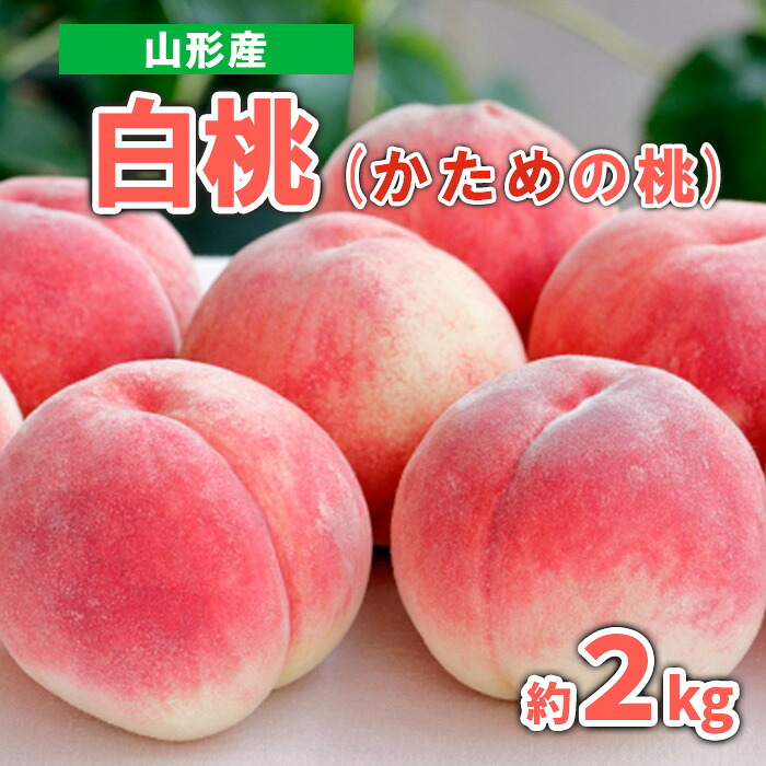 【ふるさと納税】山形産 白桃 (かための桃) 約2kg 秀品【令和8年産先行予約】FS23-719くだもの 果物 フルーツ 山形 山形県 山形市 お取り寄せ 先行予約 2026年産|山形県山形市