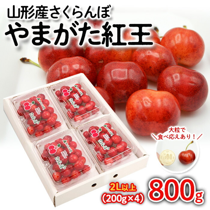 【ふるさと納税】さくらんぼ やまがた紅王 約800g(200g×4パック) 2Lサイズ以上 【令和7年産先行予約】FS24-562 くだもの 果物 フルーツ 山形 山形県 山形市 お取り寄せ 2025年産