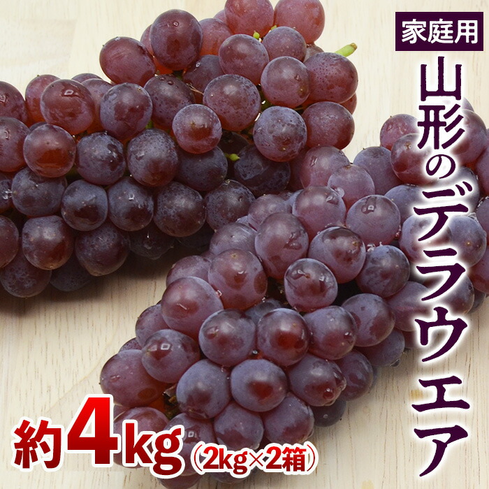 【ふるさと納税】【ご家庭用】山形のデラウエア M～3L 約4kg(18～40房)[粒サイズおまかせ] 【令和7年産先行予約】FS24-570 くだもの 果物 フルーツ 山形 山形県 山形市 お取り寄せ 2025年産