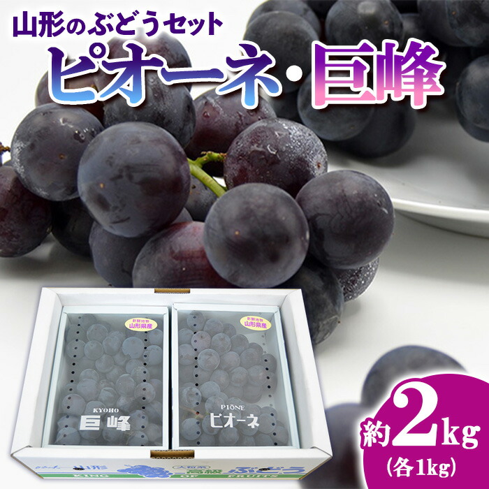 【ふるさと納税】山形のぶどうセット 秀品 約2kg(ピオーネ約1kg2房前後・巨峰約1kg2房前後)[9月中旬～10月中旬お届け] 【令和7年産先行予約】FS24-572 くだもの 果物 フルーツ 山形 山形県 山形市 お取り寄せ 2025年産