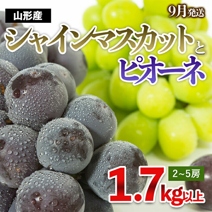 【ふるさと納税】やまがたのぶどう シャインマスカット＆ピオーネ 秀品 約1.7kg(2～5房程度) [9月発送] 【令和7年産先行予約】FS23-752 くだもの 果物 フルーツ 山形 山形県 山形市 2025年産