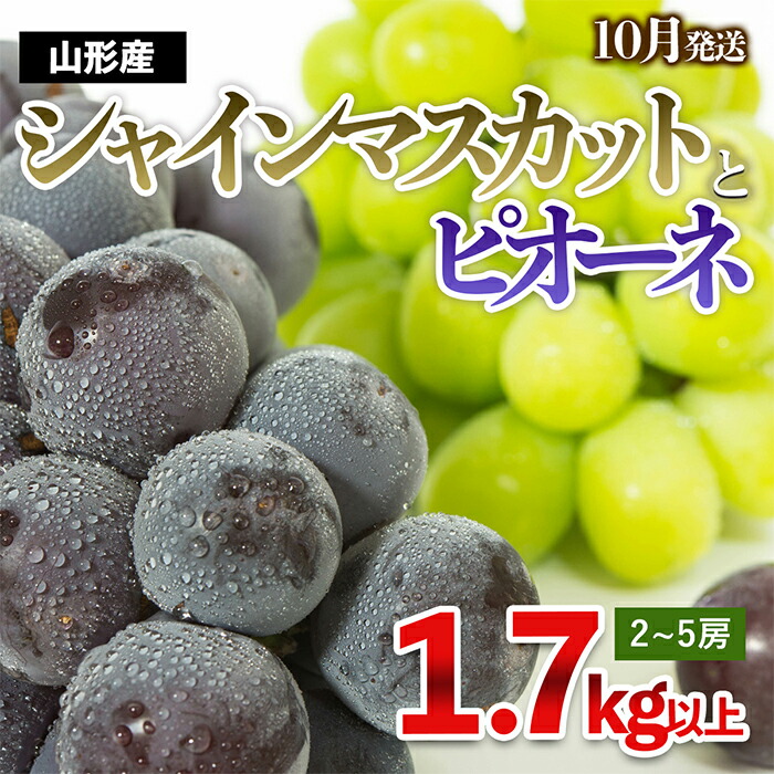 【ふるさと納税】やまがたのぶどう シャインマスカット＆ピオーネ 秀品 約1.7kg(2～5房程度) [10月発送] 【令和7年産先行予約】FS23-753 くだもの 果物 フルーツ 山形 山形県 山形市 2025年産