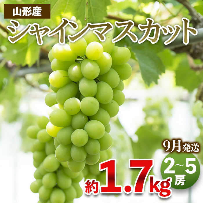 【ふるさと納税】やまがたのぶどう シャインマスカット 秀品 約1.7kg(2～5房程度) [9月発送]　 【令和7年産先行予約】FS23-754 くだもの 果物 フルーツ 山形 山形県 山形市 2025年産