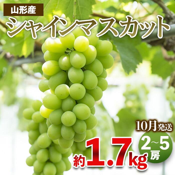 【ふるさと納税】やまがたのぶどう シャインマスカット 秀品 約1.7kg(2～5房程度) [10月発送]　 【令和8年産先行予約】FS23-755 くだもの 果物 フルーツ 山形 山形県 山形市 お取り寄せ 2026年産