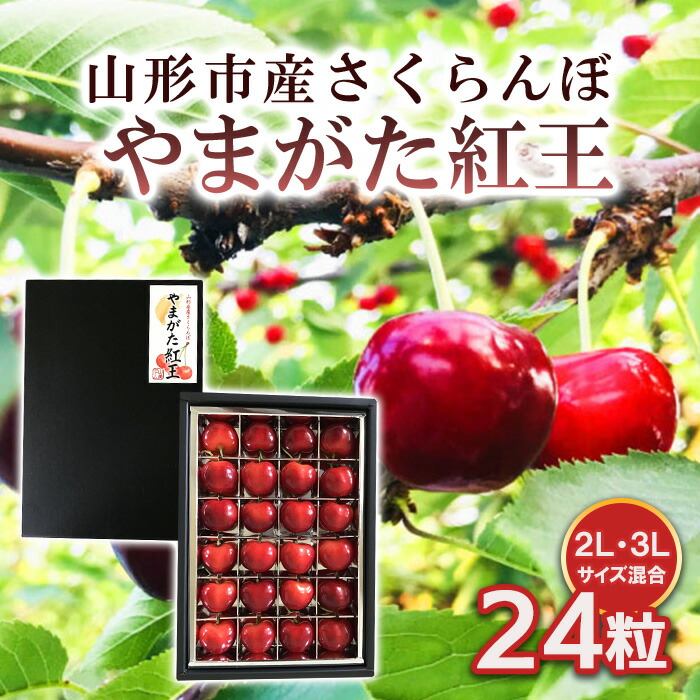 【ふるさと納税】山形市産 さくらんぼ 【やまがた紅王】 2L/3Lサイズ混合 24粒 【令和7年産先行予約】FS24-590 くだもの 果物 フルーツ 山形 山形県 山形市 お取り寄せ 2025年産