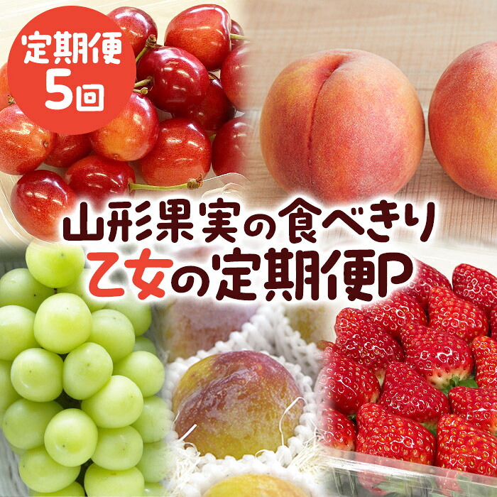 【ふるさと納税】【定期便5回】山形果実の食べきり[乙女の定期便P] 【令和8年産先行予約】FS25-658 くだもの 果物 フルーツ 山形 山形県 山形市 お取り寄せ 2026年産