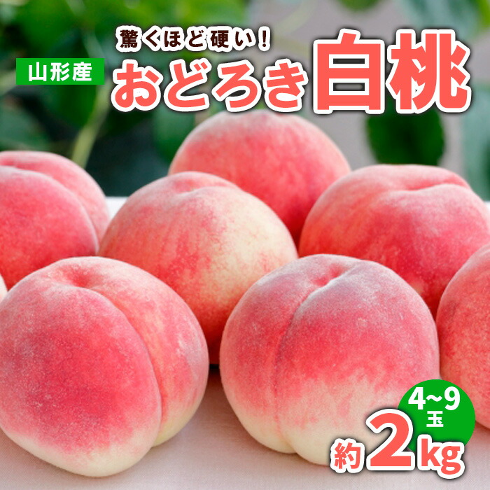 【ふるさと納税】山形産 おどろき 白桃  秀 約2kg(4～9玉) 【令和7年産先行予約】FS23-780 くだもの 果物 フルーツ 山形 山形県 山形市 2025年産