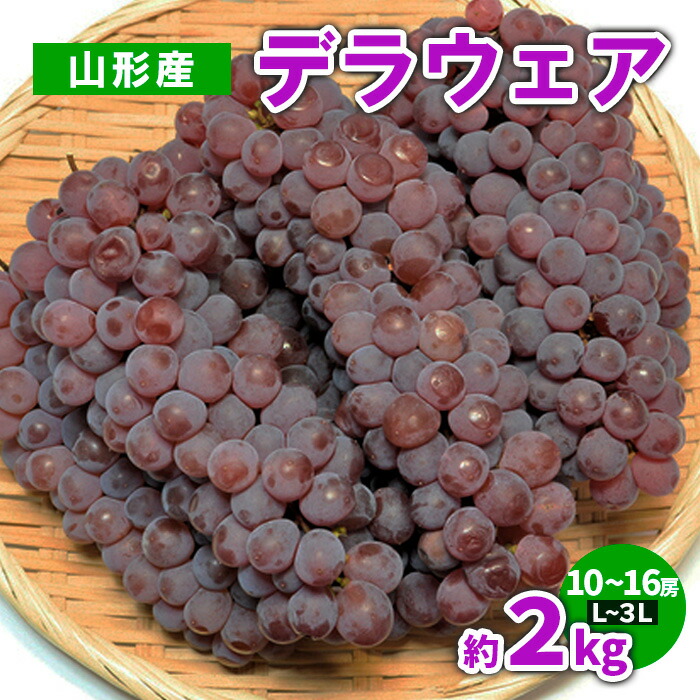 【ふるさと納税】山形産 デラウェア 約2kg(10～16房) L～3L 【令和7年産先行予約】FS23-782 くだもの 果物 フルーツ 山形 山形県 山形市 2025年産