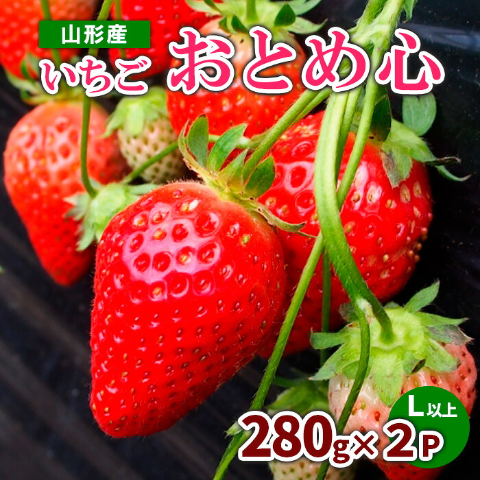 【ふるさと納税】いちご『おとめ心』秀 560g(280g×2P) L以上 【令和8年産先行予約】FS23-783 くだもの 果物 フルーツ 山形 山形県 山形市 お取り寄せ 2026年産
