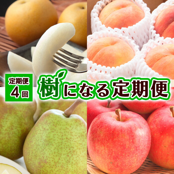 【ふるさと納税】【定期便4回】樹になる定期便 【令和7年産先行予約】FU23-795くだもの 果物 フルーツ 山形 山形県 山形市 お取り寄せ 2025年産