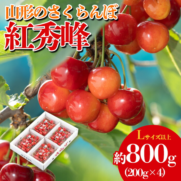 【ふるさと納税】山形のさくらんぼ 紅秀峰 約800g(200g×4) 【令和7年産先行予約】FS23-809 くだもの 果物 フルーツ 山形 山形県 山形市 2025年産