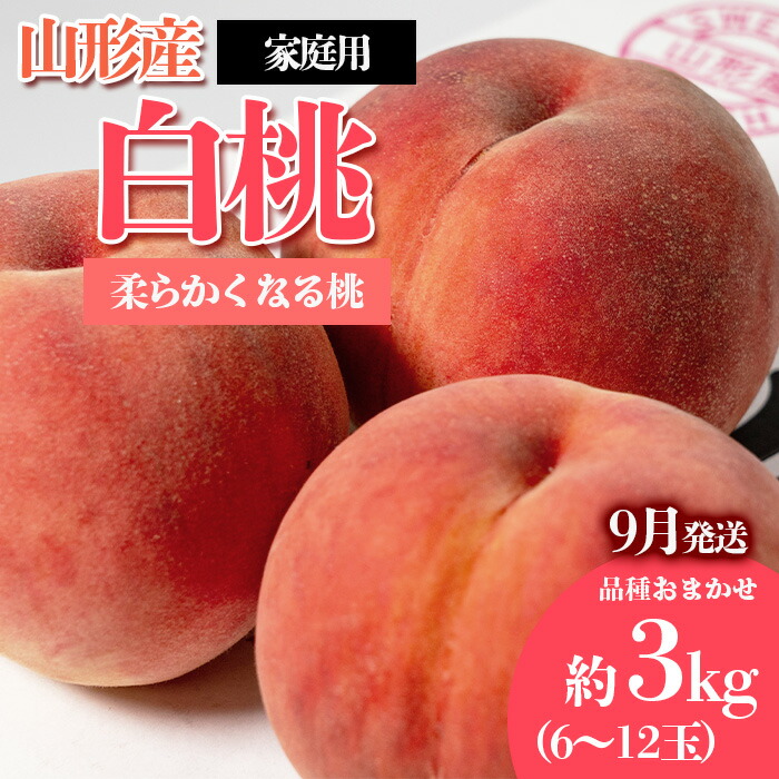 【ふるさと納税】[ご家庭用]やまがたの桃 (白桃) 品種お任せ「柔らかくなる桃」9月 優品 約3kg(6～12玉程度) 【令和8年産先行予約】FS23-812 くだもの 果物 フルーツ 山形 山形県 山形市 お取り寄せ 2026年産｜山形県山形市