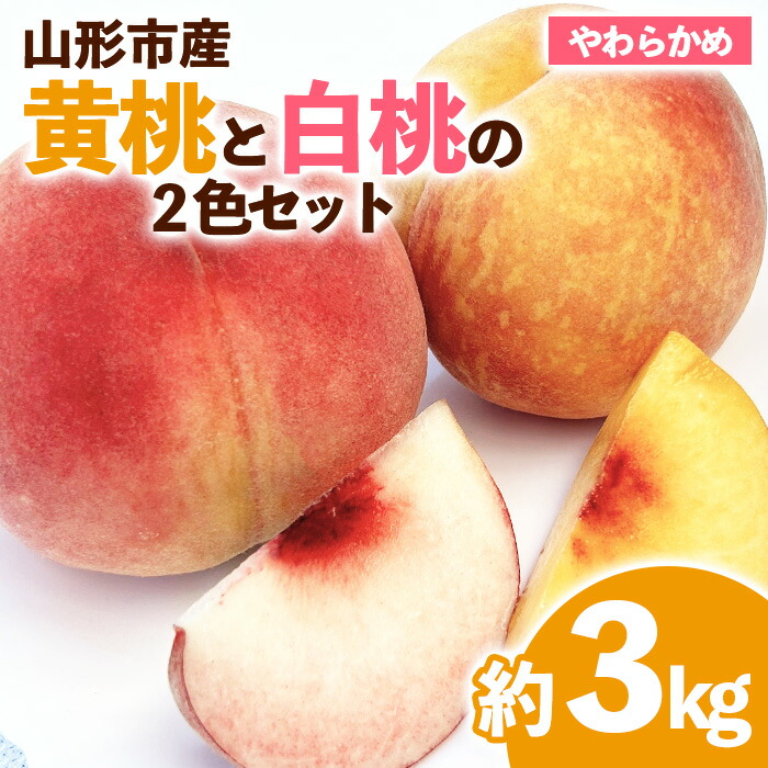 【ふるさと納税】山形市産 黄桃と白桃（柔らかめ）の2色セット 秀 3kg 【令和7年産先行予約】FS23-822くだもの 果物 フルーツ 山形 山形県 山形市 お取り寄せ 2025年産