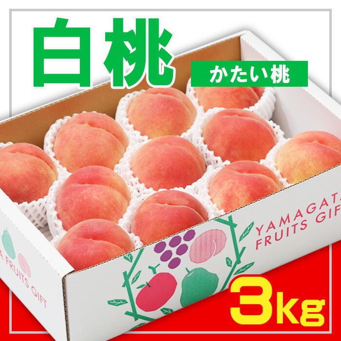 【ふるさと納税】☆フルーツ王国山形☆白桃 秀品 3kg [かたい桃] 【令和7年産先行予約】FS23-824 くだもの 果物 フルーツ 山形 山形県 山形市 2025年産
