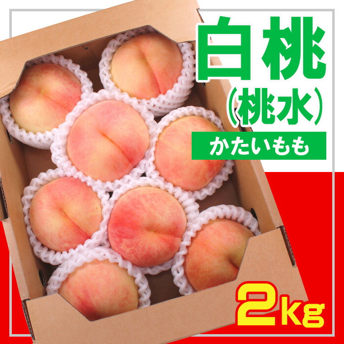 【ふるさと納税】☆フルーツ王国山形☆ 白桃(桃水) 秀品 2kg [かたい桃] 【令和7年産先行予約】FS23-831 くだもの 果物 フルーツ 山形 山形県 山形市 2025年産