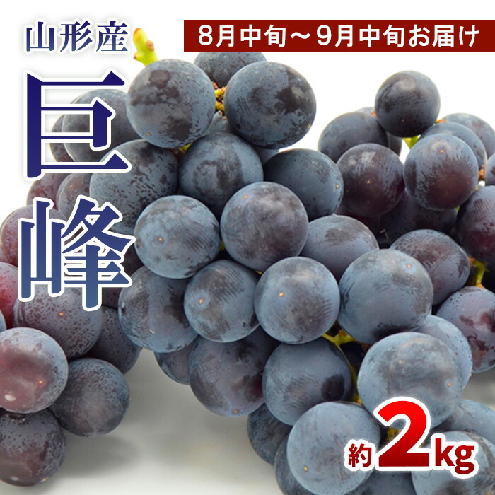 【ふるさと納税】山形のぶどう 巨峰 秀品 約2kg(3～6房)[8月中旬～9月中旬お届け] 【令和7年産先行予約】FS24-651 くだもの 果物 フルーツ 山形 山形県 山形市 お取り寄せ 2025年産