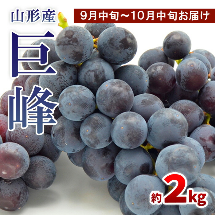 【ふるさと納税】山形のぶどう 巨峰 秀品 約2kg(3～6房)[9月中旬～10月中旬お届け] 【令和7年産先行予約】FS24-652 くだもの 果物 フルーツ 山形 山形県 山形市 お取り寄せ 2025年産