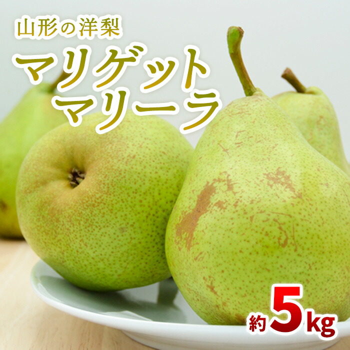 【ふるさと納税】山形の洋梨 マリゲットマリーラ 秀品 約5kg(7～15玉) 【令和7年産先行予約】FS23-863くだもの 果物 フルーツ 山形 山形県 山形市 お取り寄せ 2025年産