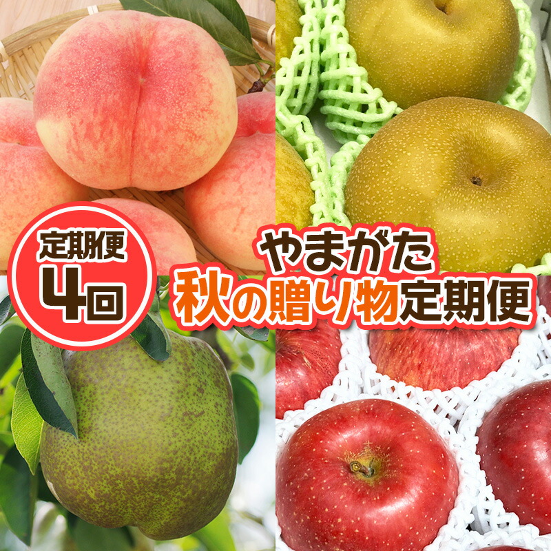 【ふるさと納税】【定期便4回】やまがた 秋の贈り物定期便【令和7年産先行予約】FU23-877 くだもの 果物 フルーツ 山形 山形県 山形市 2025年産