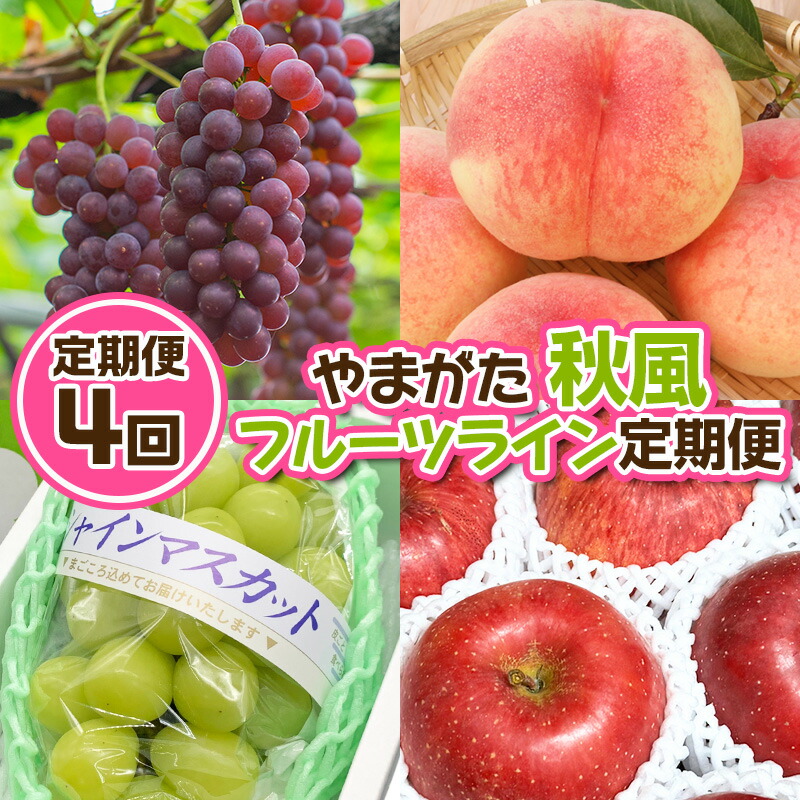 【ふるさと納税】【定期便4回】やまがた 秋風フルーツライン定期便【令和7年産先行予約】FU23-878 くだもの 果物 フルーツ 山形 山形県 山形市 2025年産