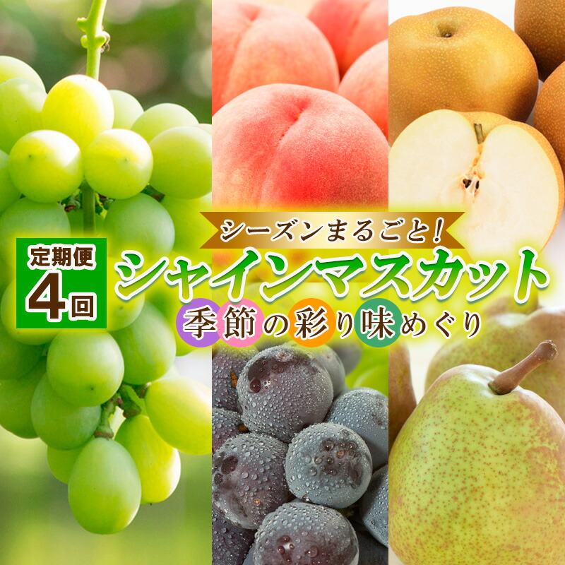 【ふるさと納税】【定期便4回】シーズンまるごと！シャインマスカット 季節の彩り味めぐり【令和7年産先行予約】FU23-884 くだもの 果物 フルーツ 山形 山形県 山形市 2025年産