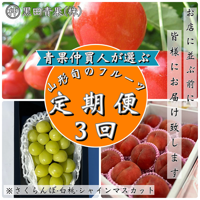 【ふるさと納税】【定期便3回】青果仲買人が選ぶ！山形旬のフルーツ3選！[さくらんぼ・白桃・シャインマスカット]【令和7年産先行予約】FS24-598 くだもの 果物 フルーツ 山形 山形県 山形市 お取り寄せ 2025年産