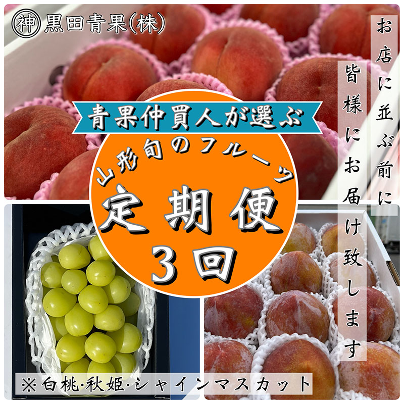 【ふるさと納税】【定期便3回】青果仲買人が選ぶ！山形旬のフルーツ3選！[白桃・秋姫・シャインマスカット]【令和7年産先行予約】FS24-599 くだもの 果物 フルーツ 山形 山形県 山形市 お取り寄せ 2025年産