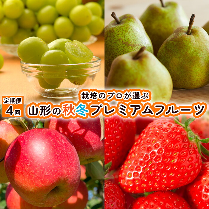 【ふるさと納税】【定期便4回】栽培のプロが選ぶ山形の秋冬プレミアムフルーツ【令和8年産先行予約】FU21-946くだもの 果物 フルーツ 山形 山形県 山形市 お取り寄せ 先行予約 2026年産