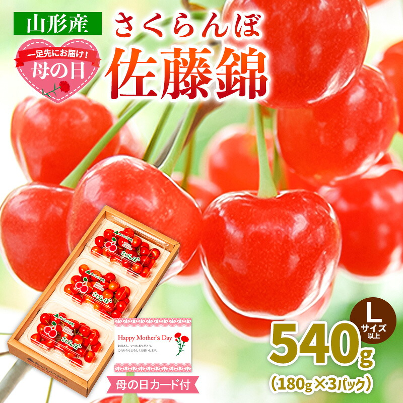 フルーツ・果物 【ふるさと納税】一足先にお届け！【母の日
