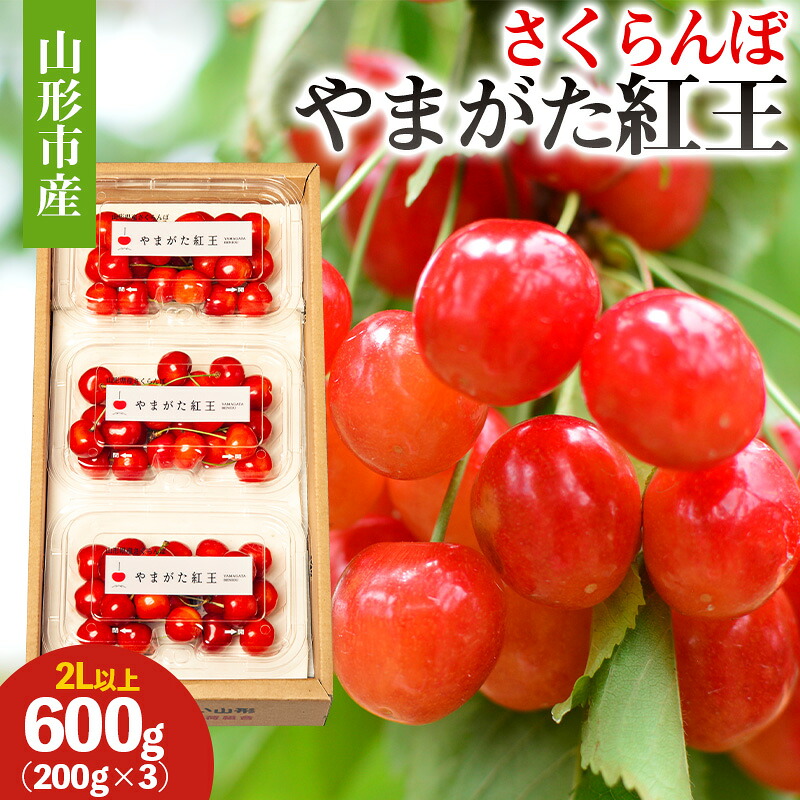 【ふるさと納税】山形市産 さくらんぼ(やまがた紅王)2L以上 600g(200g×3) 【令和8年産先行予約】FS25-051 10,360円