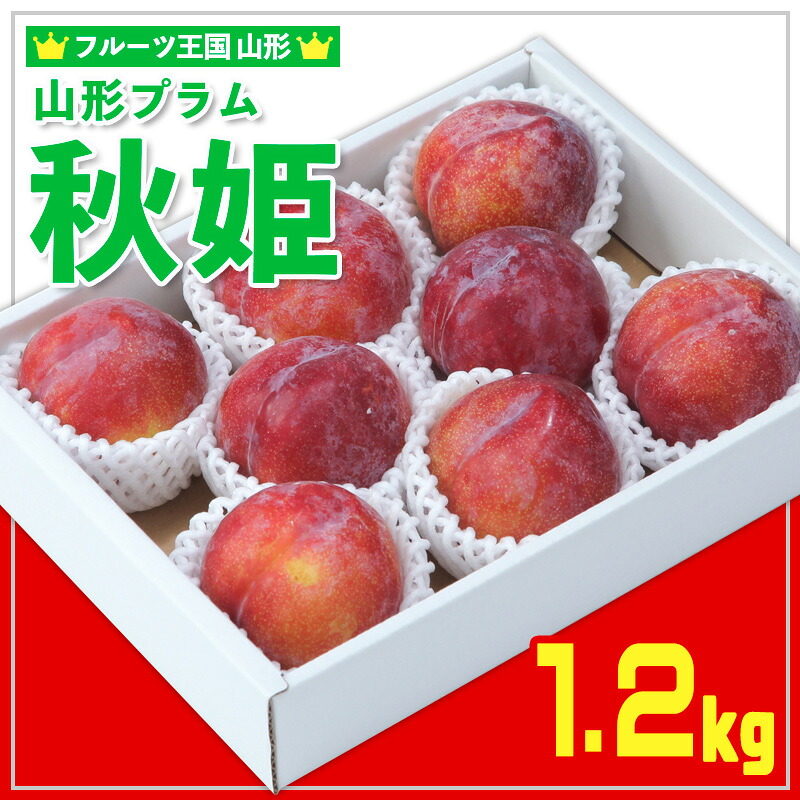 【ふるさと納税】★フルーツ王国山形★山形プラム(秋姫)1.2kg すもも【令和8年産先行予約】FS25-097｜山形県山形市