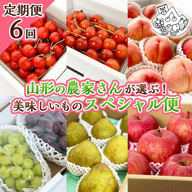 【ふるさと納税】【定期便6回】山形の農家さんが選ぶ！美味しいものスペシャル便【令和8年産先行予約】FS25-107