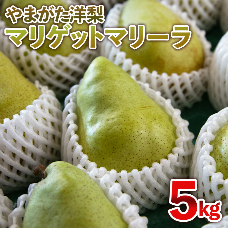 【ふるさと納税】やまがた洋梨 マリゲットマリーラ 5kg【令和8年産先行予約】FS25-142｜山形県山形市 8,520円