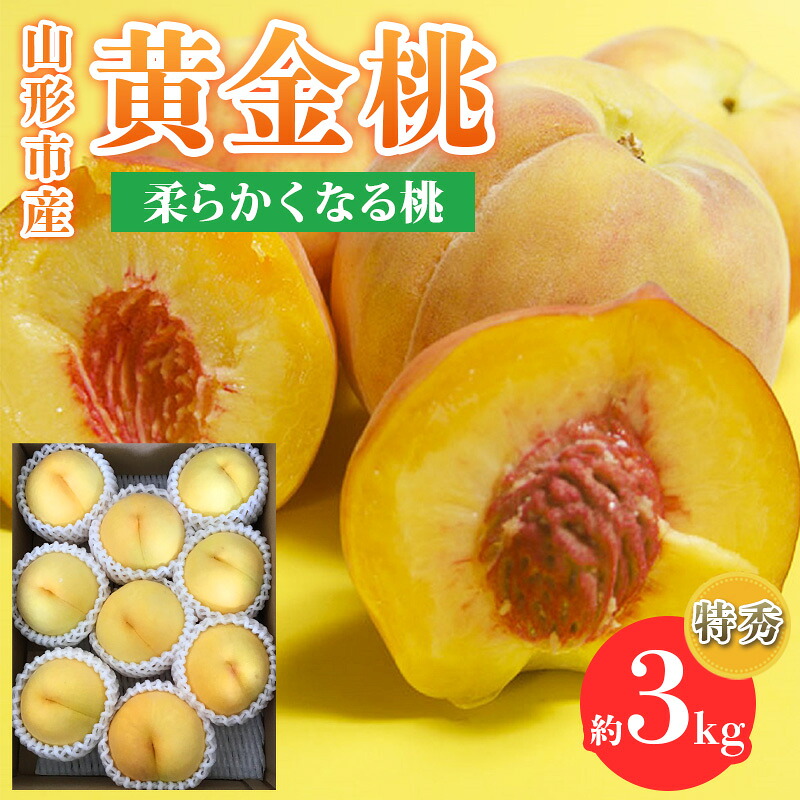 【ふるさと納税】山形市産 黄金桃 特秀品 [柔らかくなる桃] 3kg(7～13玉)【令和8年産先行予約】FS25-147｜山形県山形市