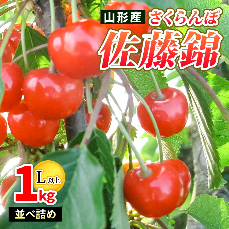 【ふるさと納税】山形産 さくらんぼ佐藤錦 特秀 1kg 並べ詰め L以上 【令和8年産先行予約】FS25-502 くだもの 果物 フルーツ 山形 山形県 山形市 お取り寄せ 2026年産