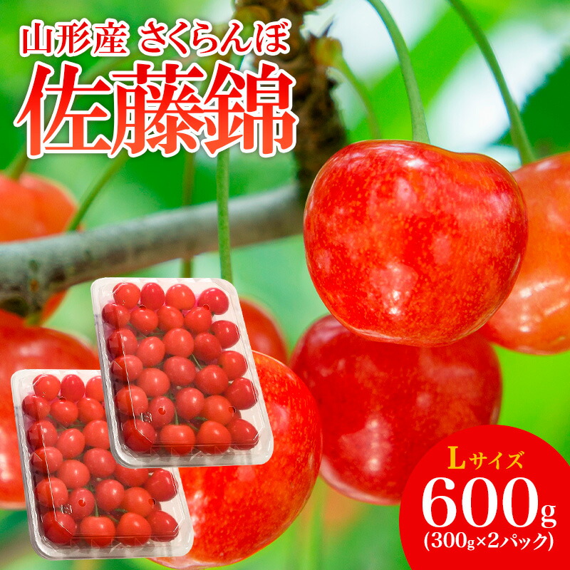 楽天市場】【ふるさと納税】やまがた さくらんぼ 佐藤錦 