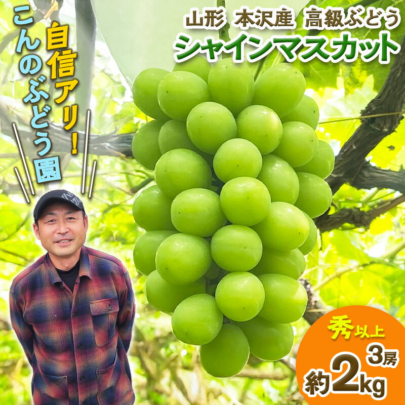 【ふるさと納税】大人気！【こんのぶどう園】山形本沢産 高級ぶどう シャインマスカット 3房【令和8年産先行予約】FS25-721 フルーツ くだもの 果物 山形 山形県 山形市 ぶどう 葡萄 ブドウ セット 2026年産