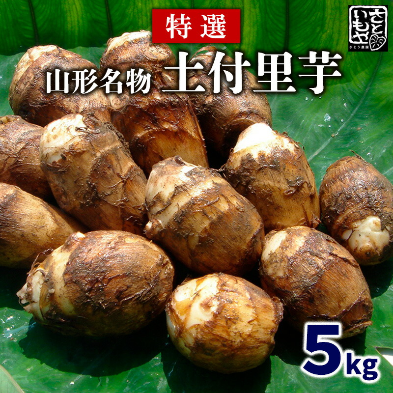 【ふるさと納税】[特選]山形名物 土付里芋 5kg fz23-137