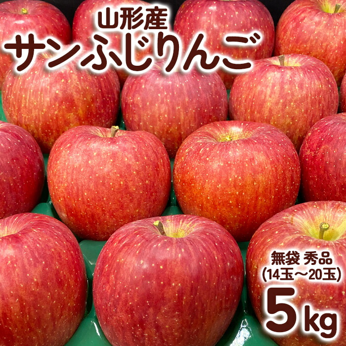 【ふるさと納税】サンふじりんご 無袋 秀品5kg(14玉～20玉) FY25-902
